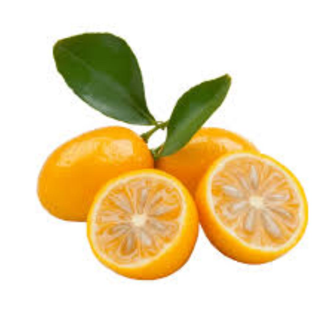Y22 KUMQUATS IMPORT